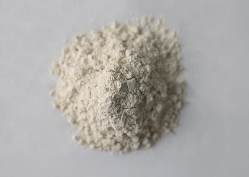 Spiberは精密発酵を活用し食品用プロテインの未来を切り拓く開発を進めています
