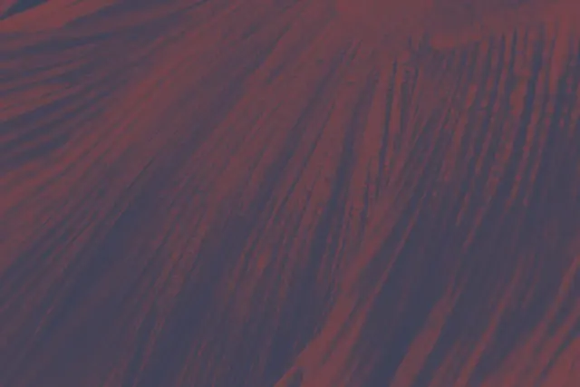 Spiberと小松マテーレ、透湿防水膜への応用や新しい皮革代替素材の開発を視野に入れた共創パートナーシップおよび共同事業開始のお知らせ