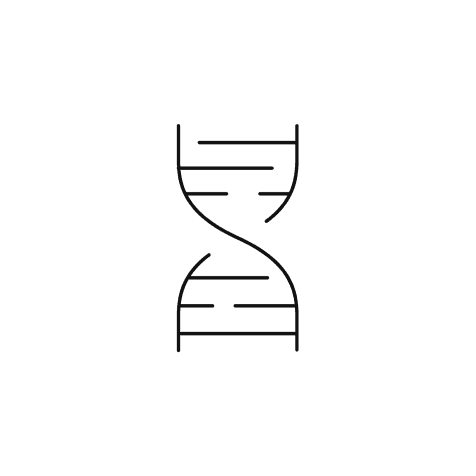 Learn/学習