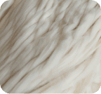 短繊維およびスライバー