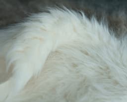 Long hair fur